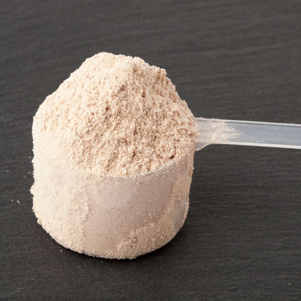 Proteína normal (sin sabor)