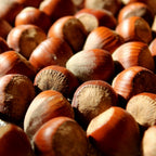 Avellana europea tostada